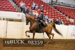 19BUCK_03359 proof