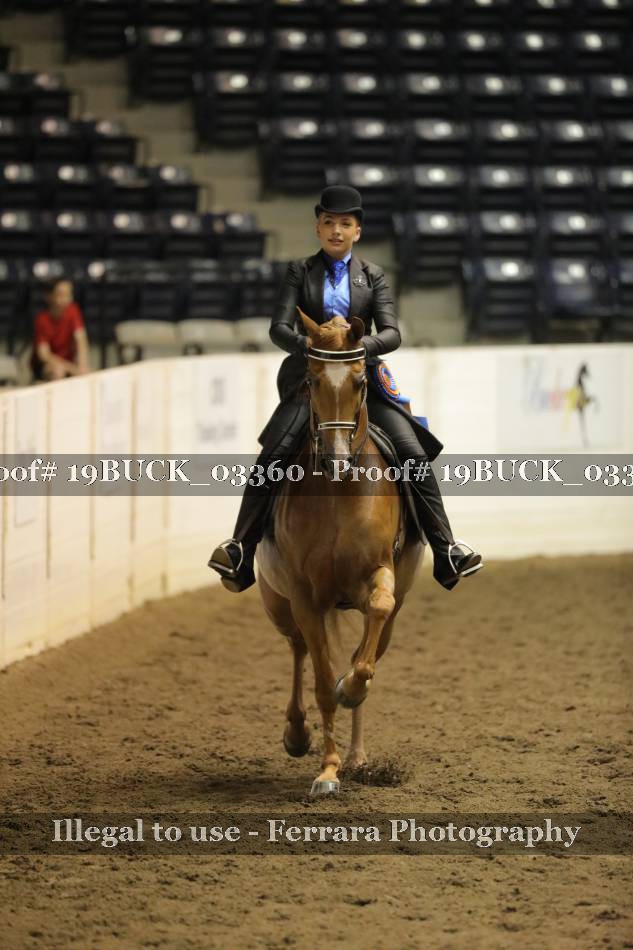 Proof 19BUCK_03360