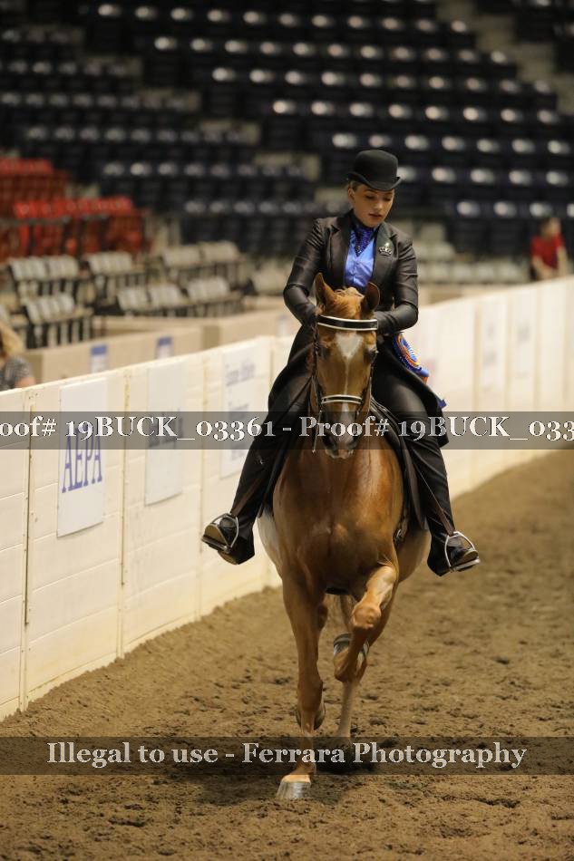 Proof 19BUCK_03361