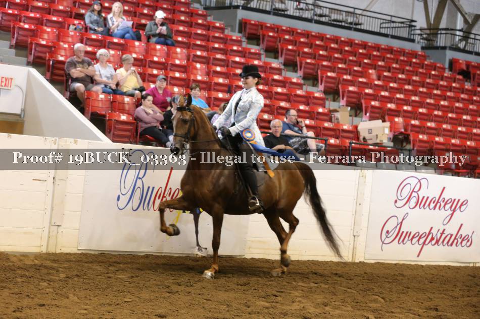 Proof 19BUCK_03363