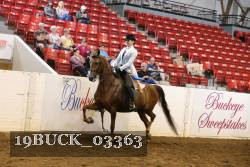 19BUCK_03363 proof