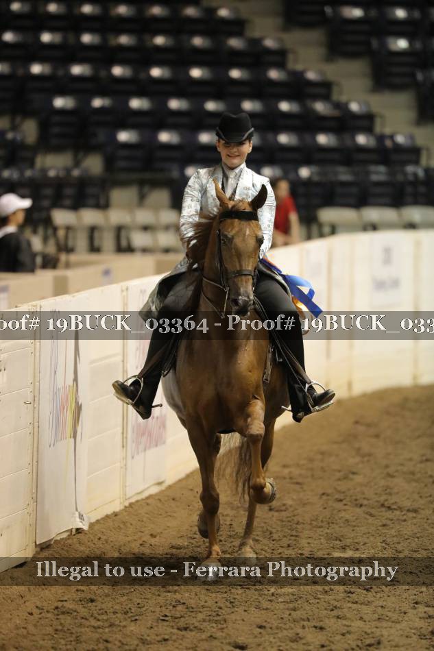 Proof 19BUCK_03364