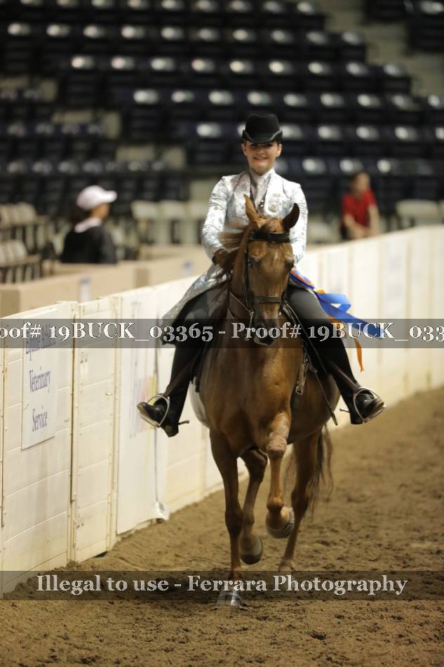 Proof 19BUCK_03365