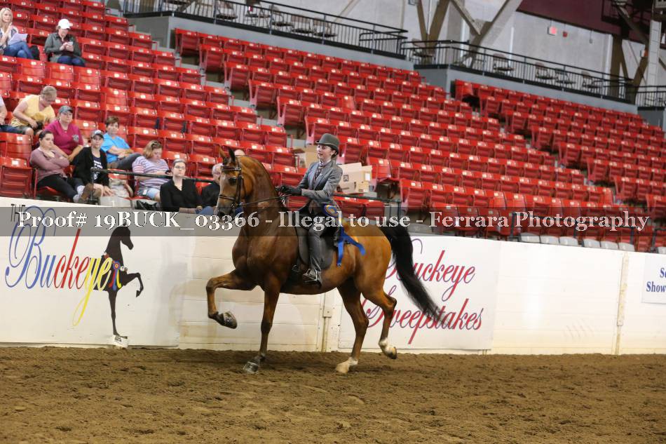 Proof 19BUCK_03366