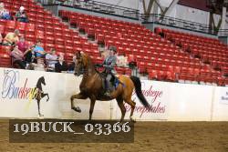 19BUCK_03366 proof
