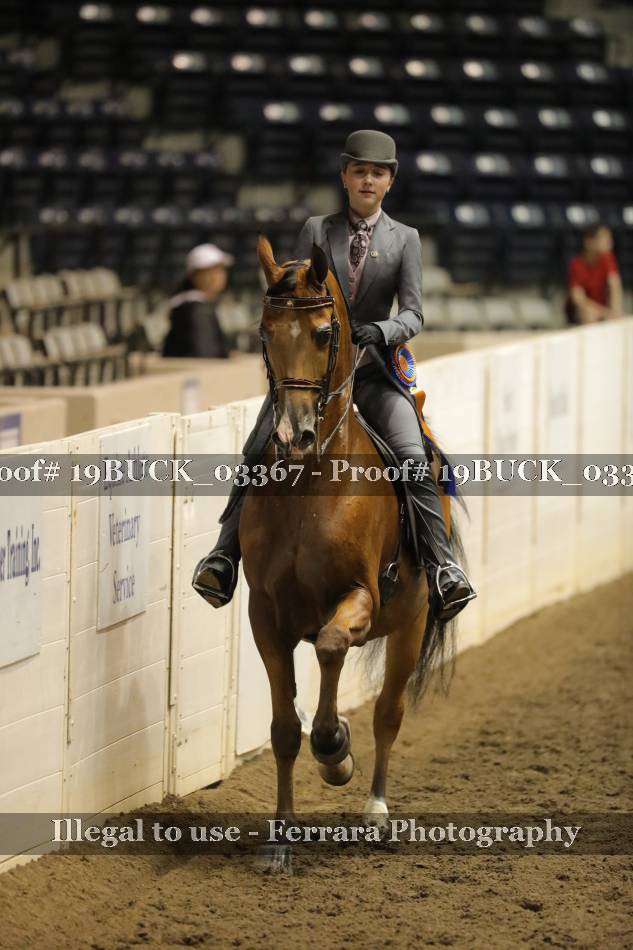 Proof 19BUCK_03367