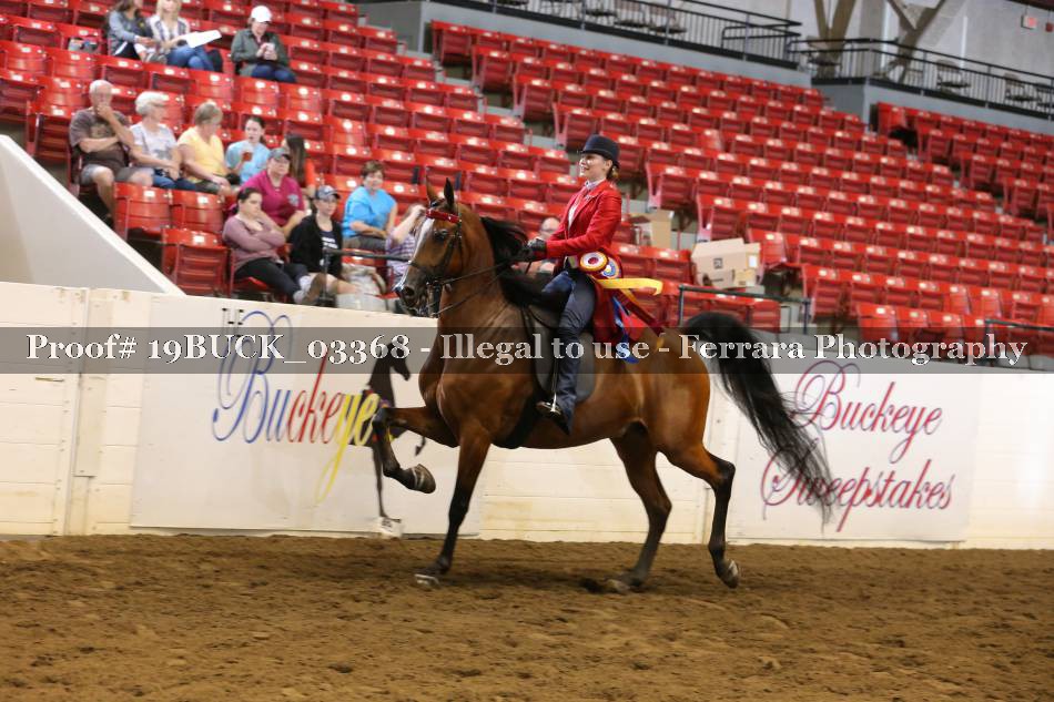 Proof 19BUCK_03368