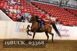 19BUCK_03368 proof