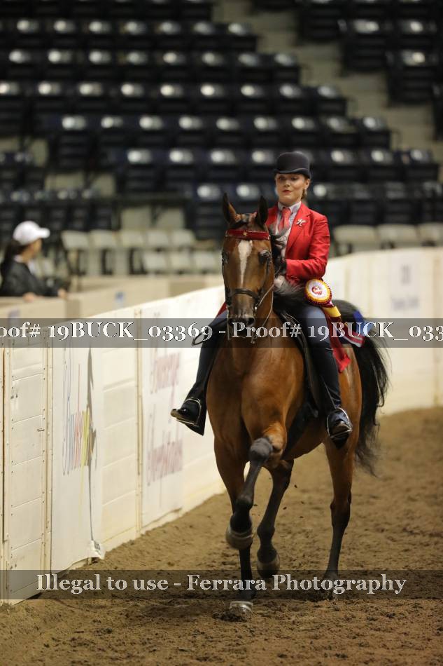 Proof 19BUCK_03369