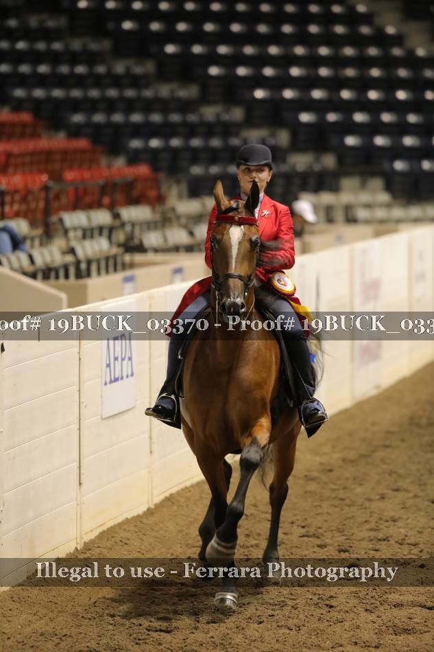Proof 19BUCK_03370