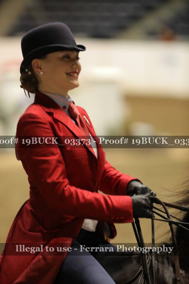 Proof 19BUCK_03373