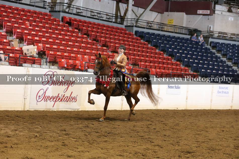 Proof 19BUCK_03374