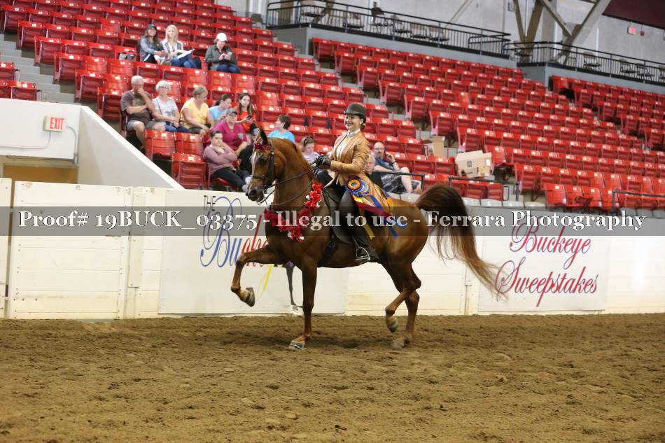 Proof 19BUCK_03375