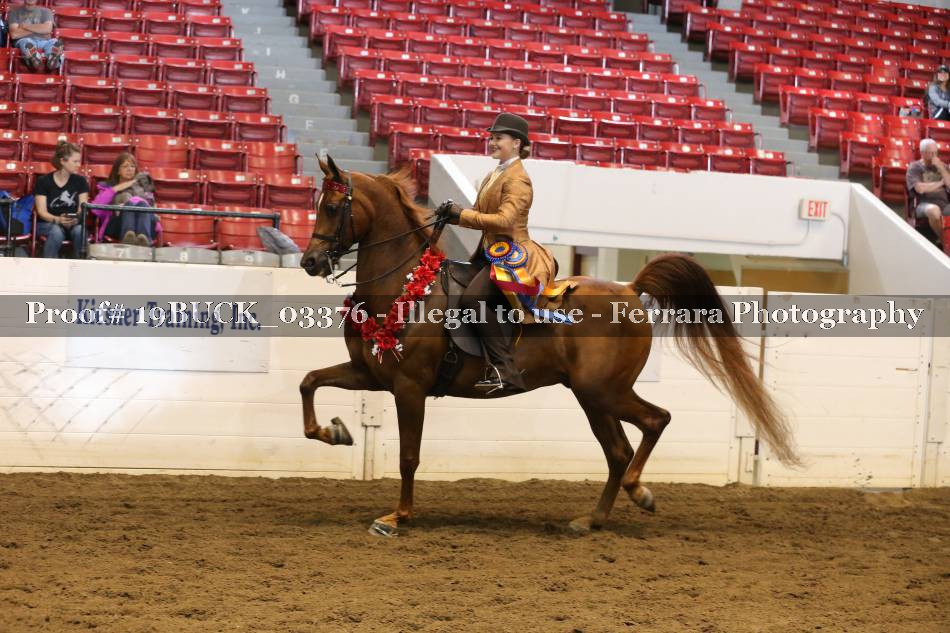 Proof 19BUCK_03376