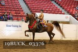 19BUCK_03376 proof