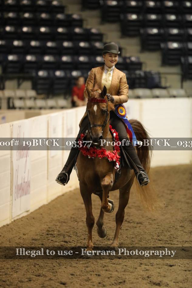 Proof 19BUCK_03377