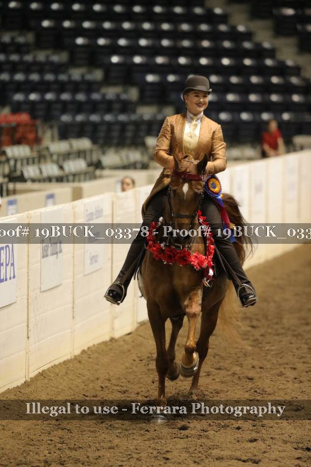 Proof 19BUCK_03378