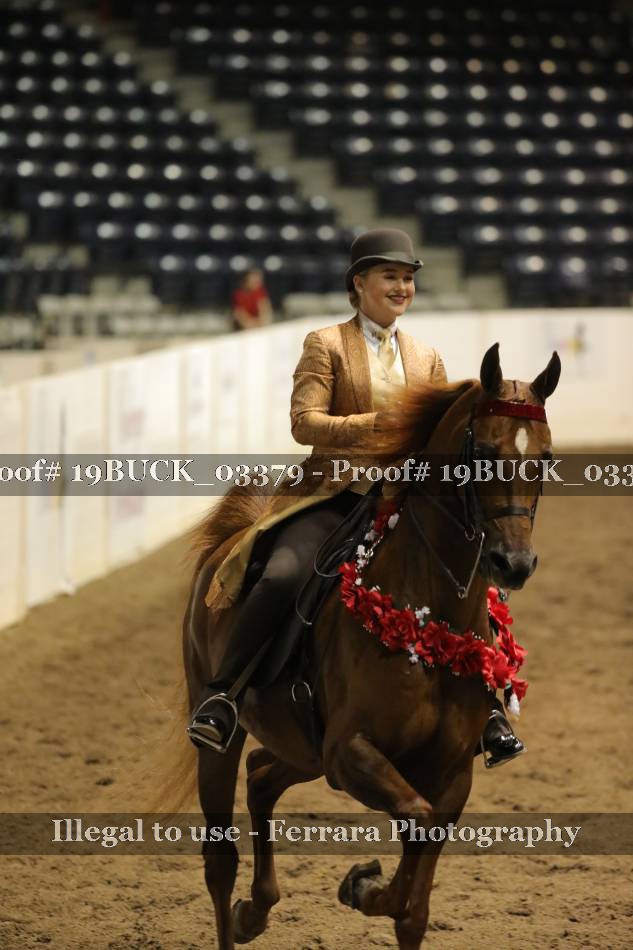 Proof 19BUCK_03379