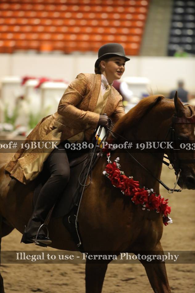 Proof 19BUCK_03380