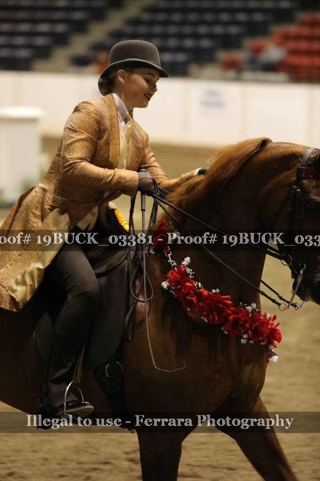 Proof 19BUCK_03381