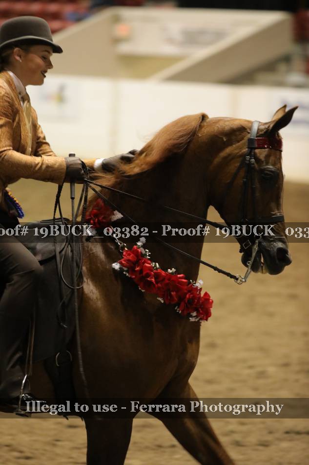 Proof 19BUCK_03382