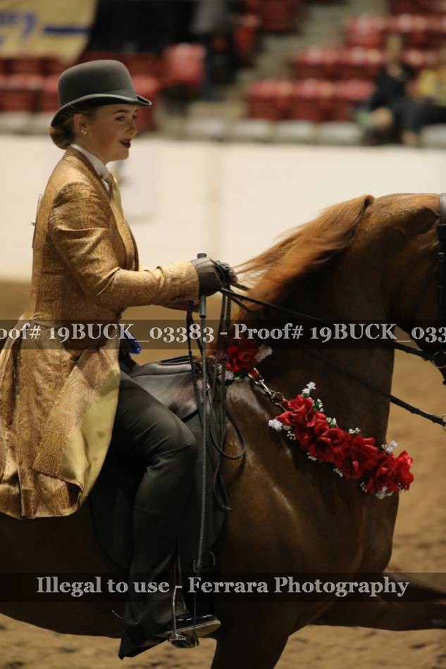 Proof 19BUCK_03383