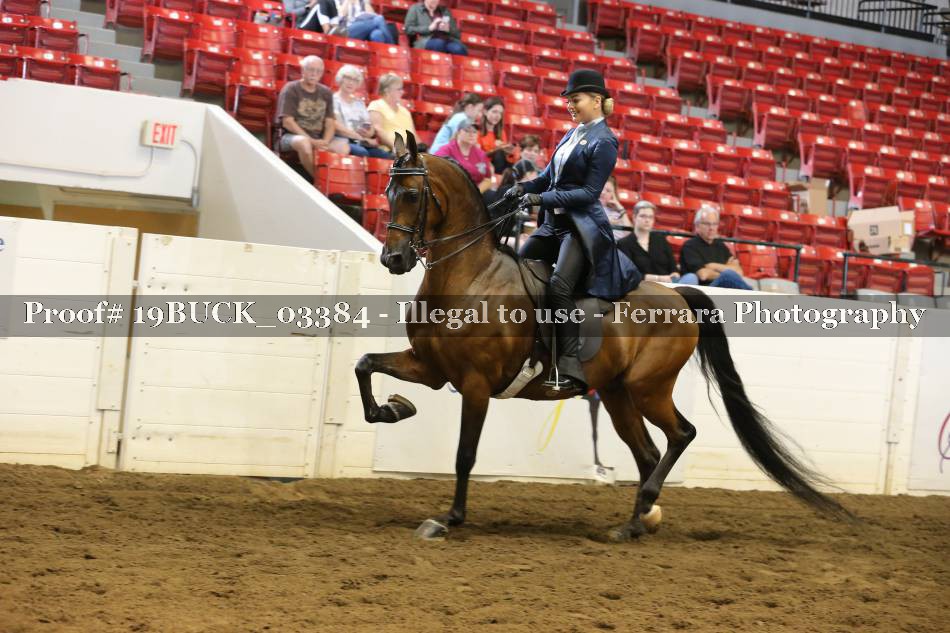 Proof 19BUCK_03384