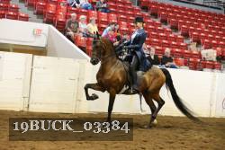 19BUCK_03384 proof