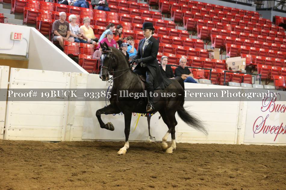 Proof 19BUCK_03385