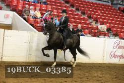 19BUCK_03385 proof