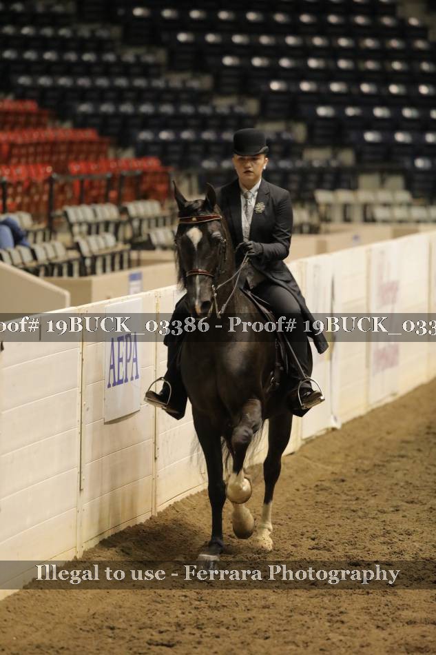 Proof 19BUCK_03386