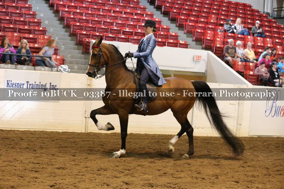 Proof 19BUCK_03387