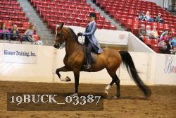 19BUCK_03387 proof