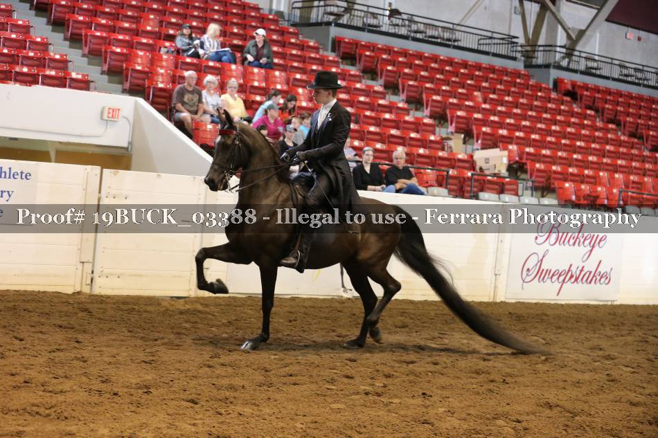 Proof 19BUCK_03388