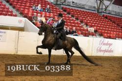 19BUCK_03388 proof