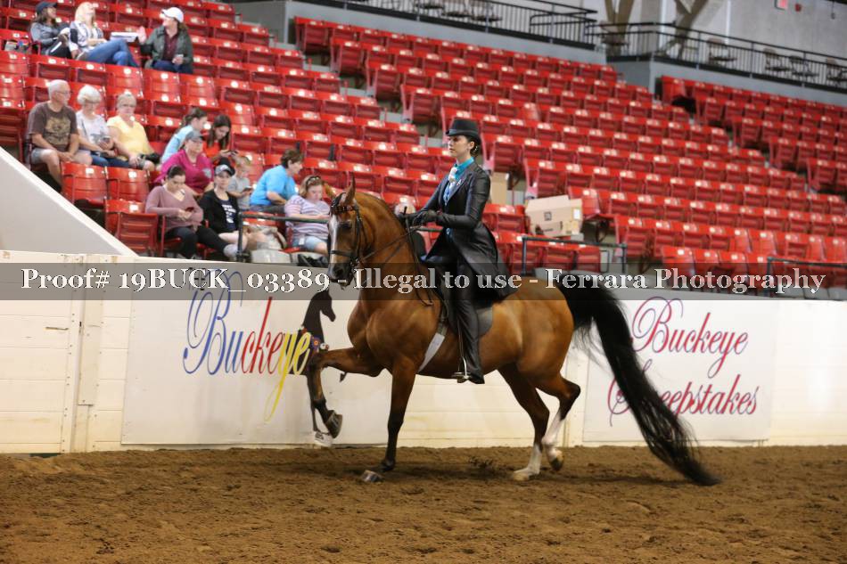 Proof 19BUCK_03389