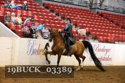 19BUCK_03389 proof