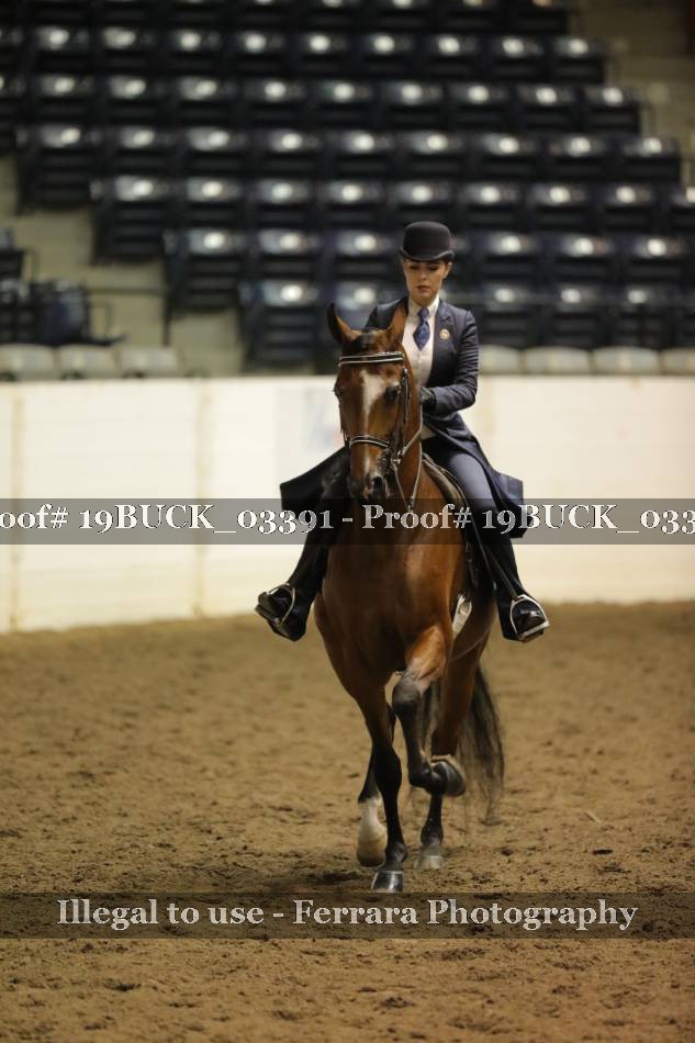 Proof 19BUCK_03391