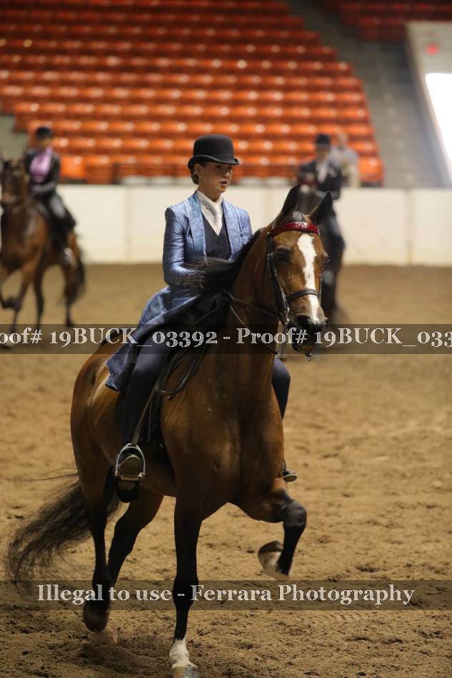 Proof 19BUCK_03392