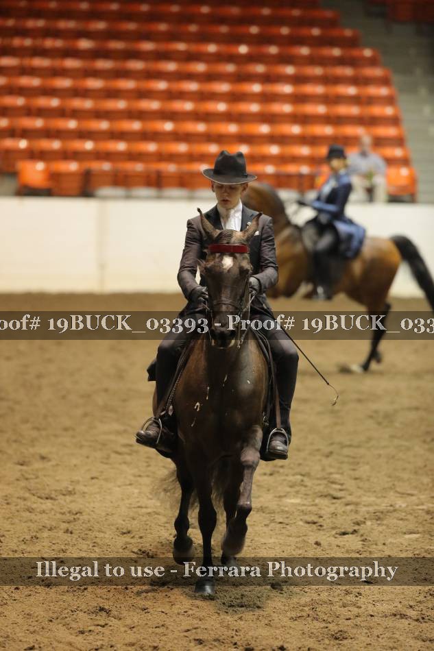 Proof 19BUCK_03393