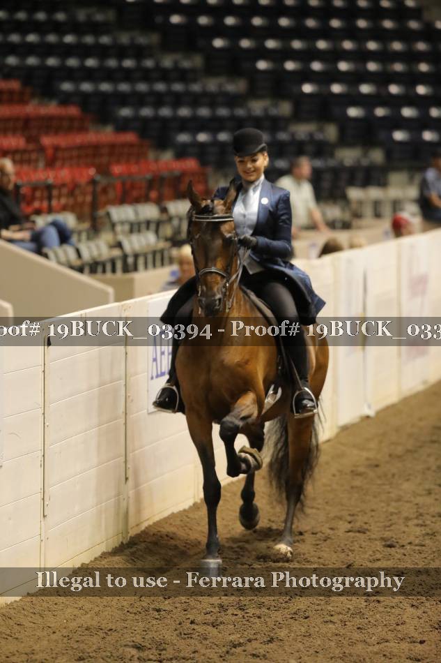 Proof 19BUCK_03394