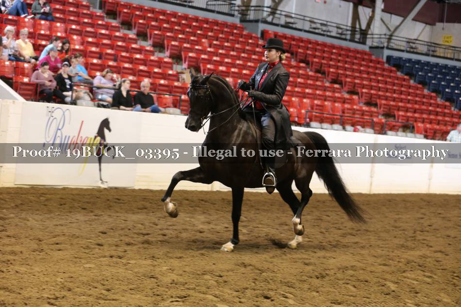 Proof 19BUCK_03395
