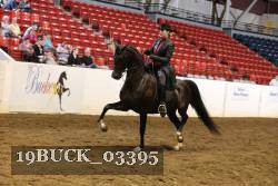 19BUCK_03395 proof