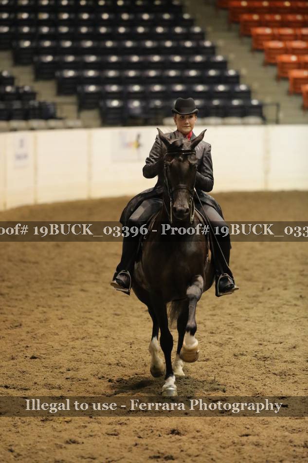 Proof 19BUCK_03396