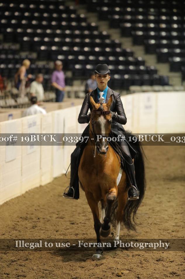 Proof 19BUCK_03397