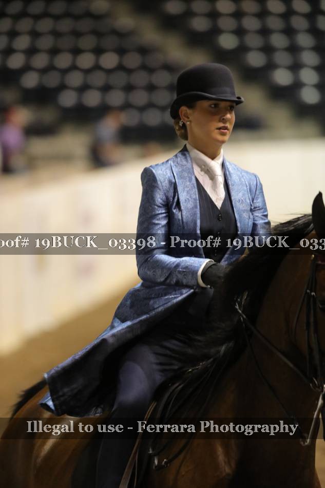Proof 19BUCK_03398