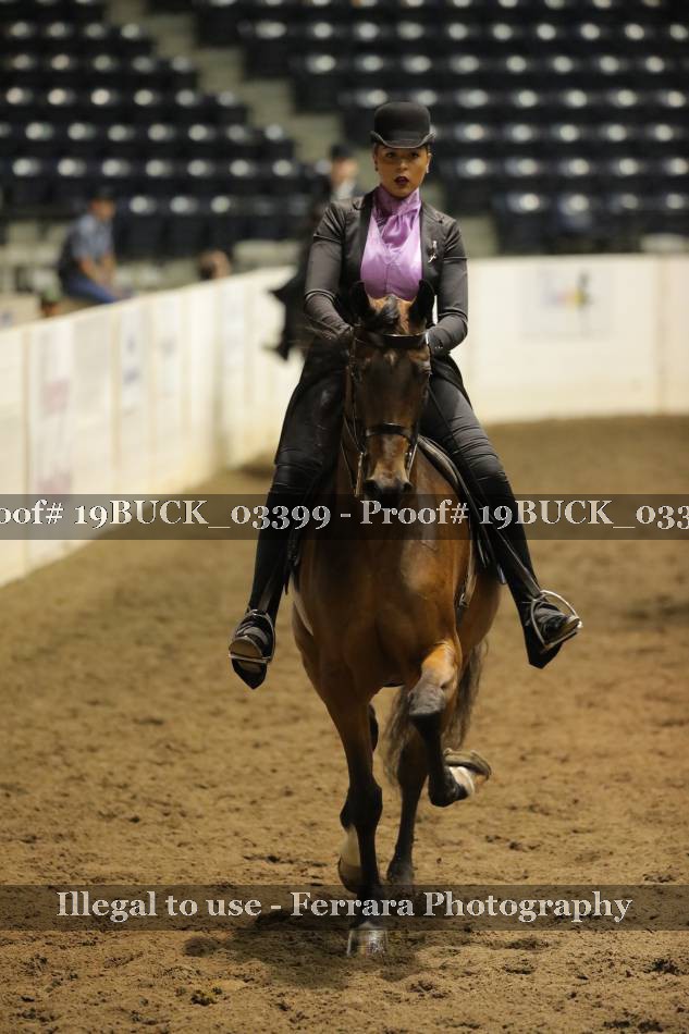Proof 19BUCK_03399
