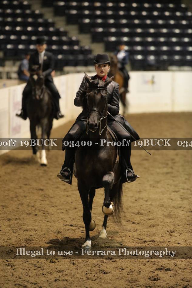 Proof 19BUCK_03400