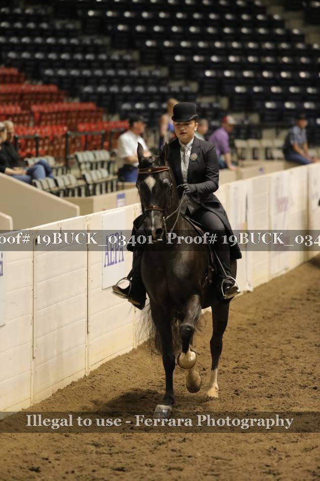 Proof 19BUCK_03401