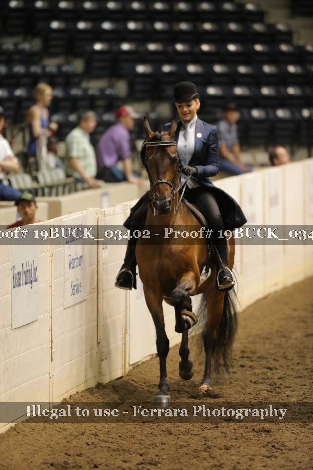 Proof 19BUCK_03402